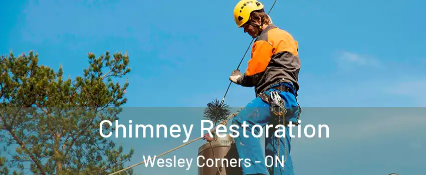  Chimney Restoration Wesley Corners - ON