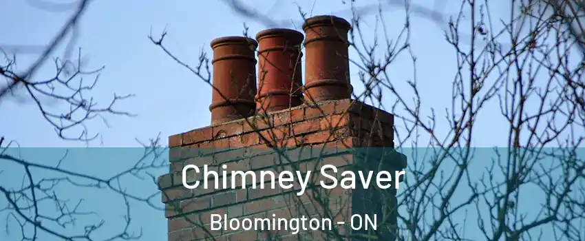 Chimney Saver Bloomington - ON