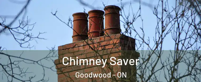  Chimney Saver Goodwood - ON