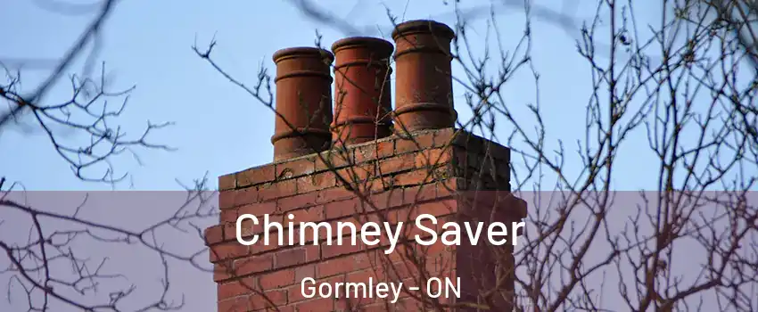  Chimney Saver Gormley - ON
