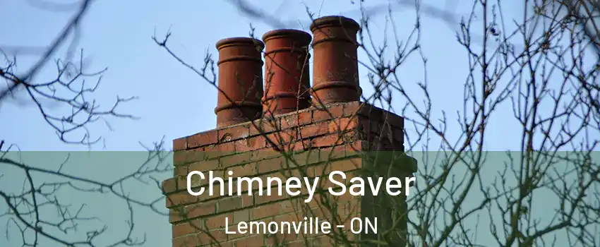  Chimney Saver Lemonville - ON