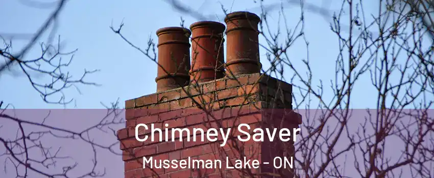  Chimney Saver Musselman Lake - ON