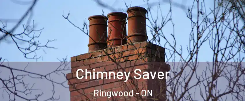  Chimney Saver Ringwood - ON