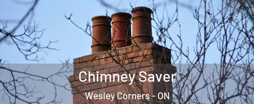  Chimney Saver Wesley Corners - ON