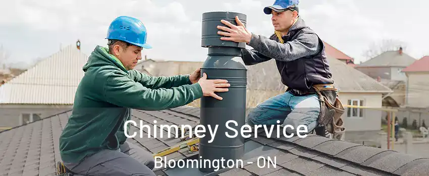  Chimney Service Bloomington - ON