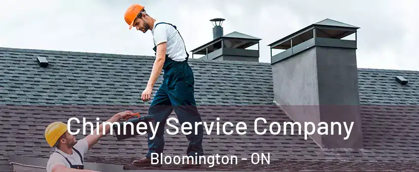  Chimney Service Company Bloomington - ON