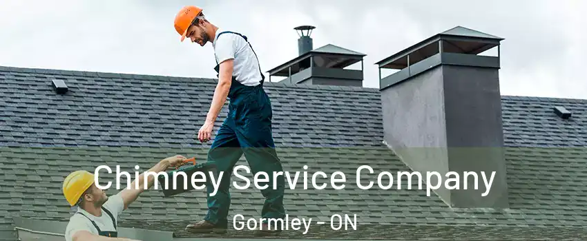 Chimney Service Company Gormley - ON
