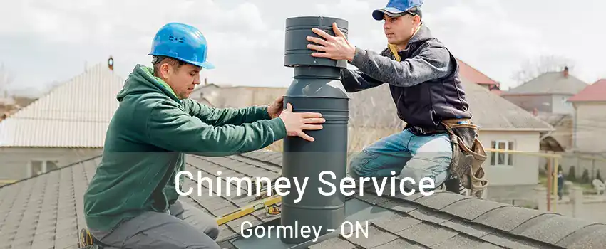  Chimney Service Gormley - ON