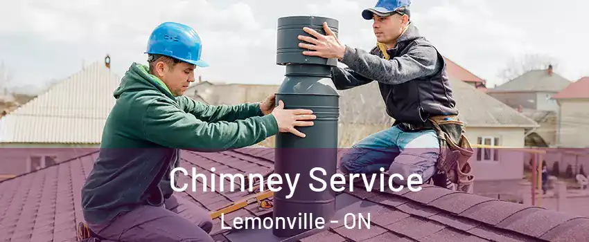  Chimney Service Lemonville - ON