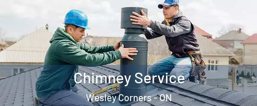  Chimney Service Wesley Corners - ON