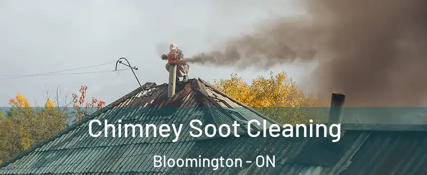  Chimney Soot Cleaning Bloomington - ON