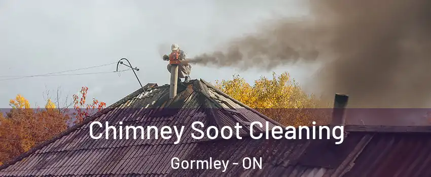  Chimney Soot Cleaning Gormley - ON