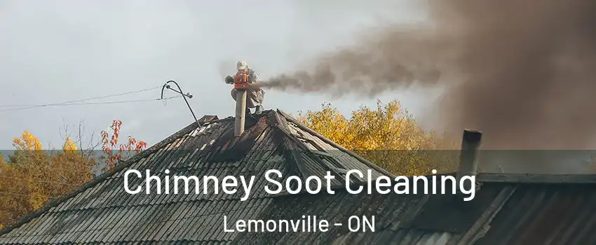  Chimney Soot Cleaning Lemonville - ON