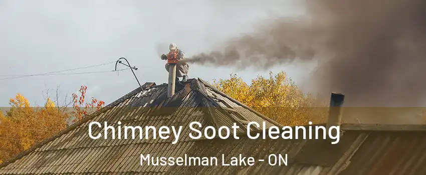  Chimney Soot Cleaning Musselman Lake - ON