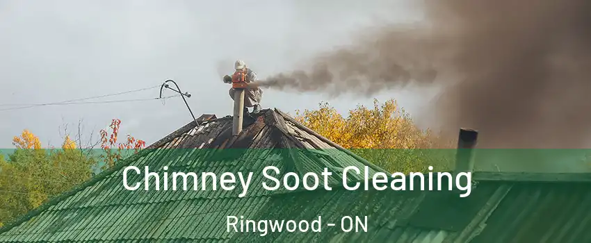  Chimney Soot Cleaning Ringwood - ON