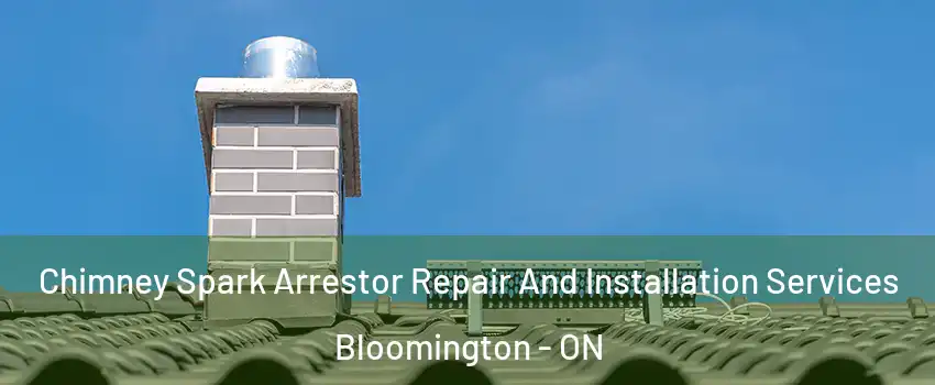  Chimney Spark Arrestor Repair And Installation Services Bloomington - ON