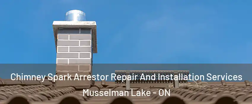  Chimney Spark Arrestor Repair And Installation Services Musselman Lake - ON