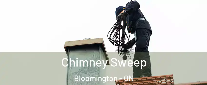  Chimney Sweep Bloomington - ON
