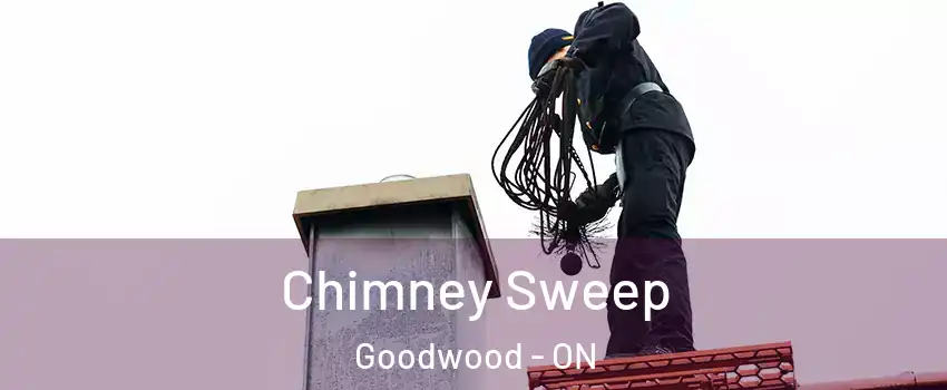  Chimney Sweep Goodwood - ON