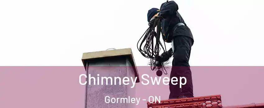  Chimney Sweep Gormley - ON