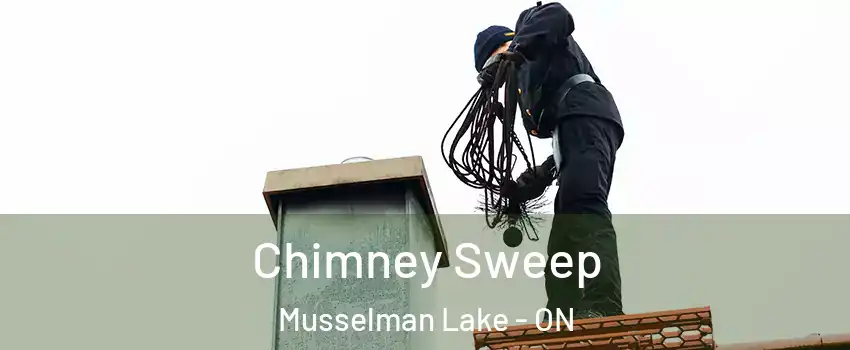  Chimney Sweep Musselman Lake - ON
