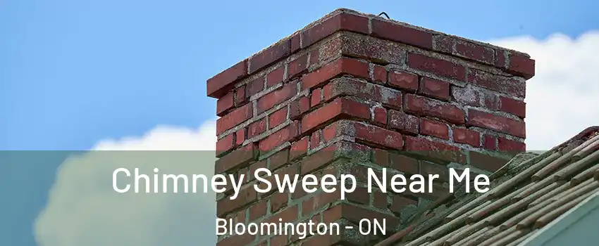  Chimney Sweep Near Me Bloomington - ON