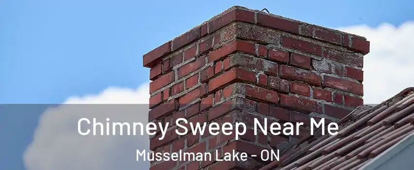  Chimney Sweep Near Me Musselman Lake - ON