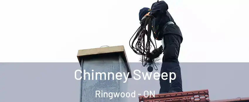  Chimney Sweep Ringwood - ON