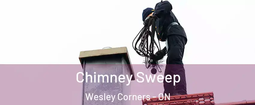  Chimney Sweep Wesley Corners - ON