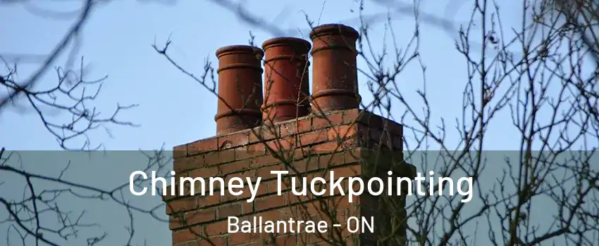  Chimney Tuckpointing Ballantrae - ON