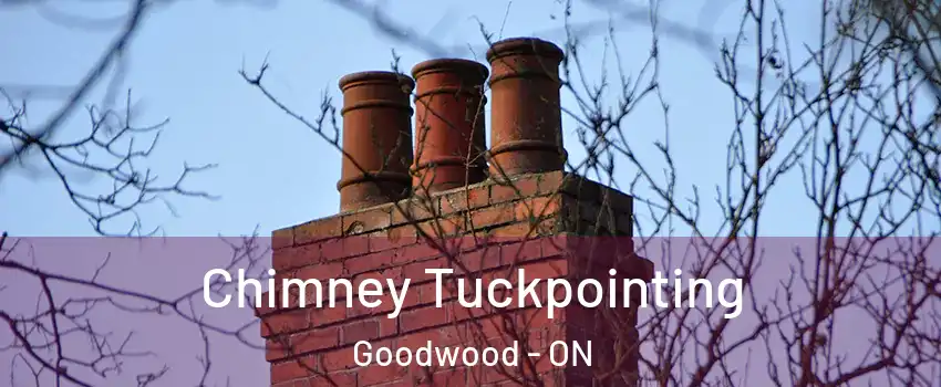  Chimney Tuckpointing Goodwood - ON