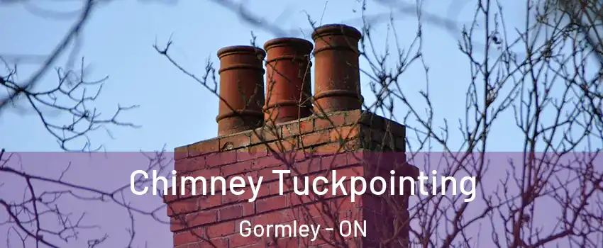  Chimney Tuckpointing Gormley - ON