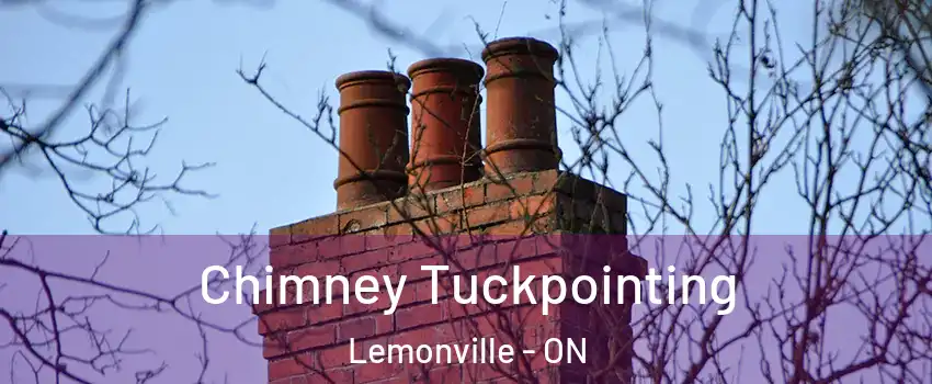  Chimney Tuckpointing Lemonville - ON