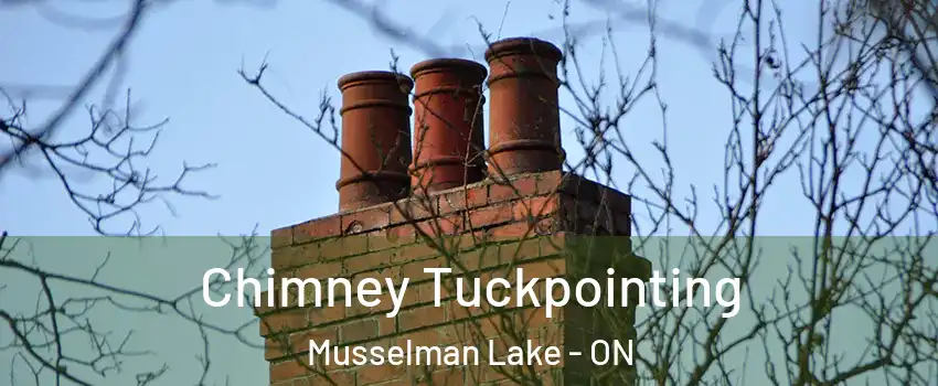  Chimney Tuckpointing Musselman Lake - ON