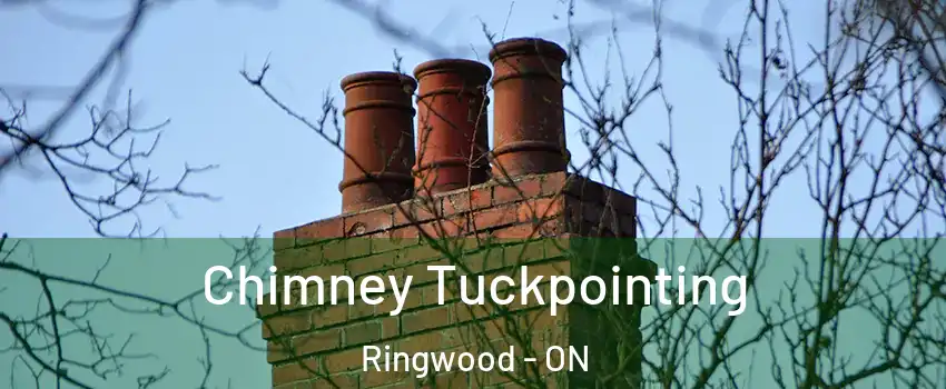  Chimney Tuckpointing Ringwood - ON