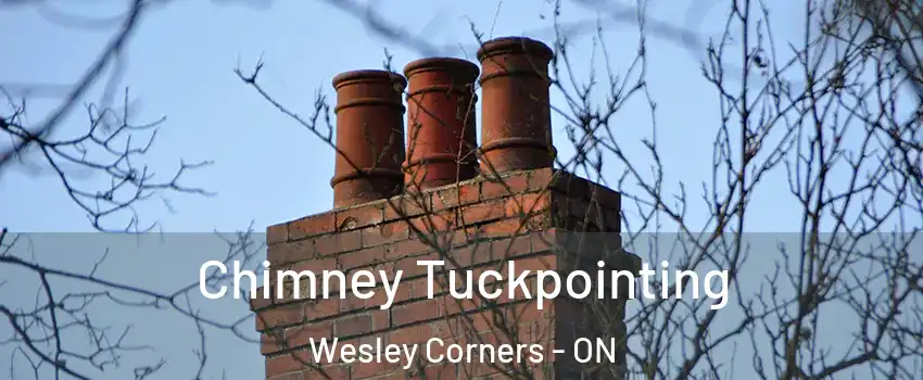  Chimney Tuckpointing Wesley Corners - ON