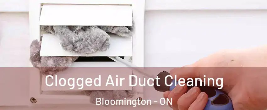  Clogged Air Duct Cleaning Bloomington - ON