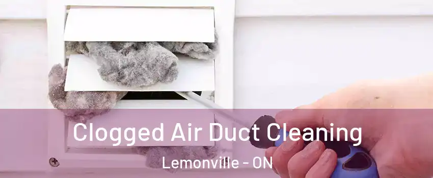  Clogged Air Duct Cleaning Lemonville - ON