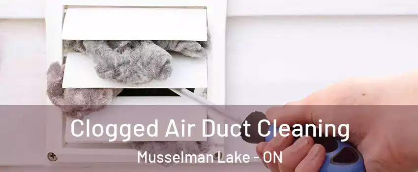  Clogged Air Duct Cleaning Musselman Lake - ON