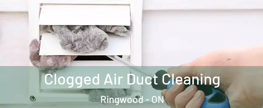  Clogged Air Duct Cleaning Ringwood - ON