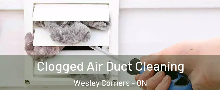  Clogged Air Duct Cleaning Wesley Corners - ON