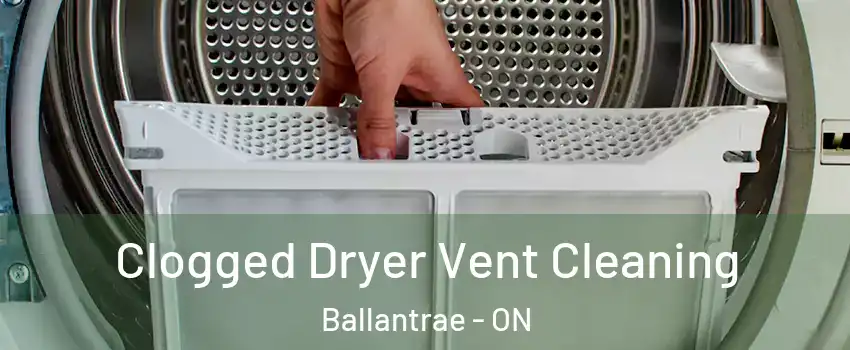  Clogged Dryer Vent Cleaning Ballantrae - ON