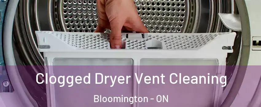  Clogged Dryer Vent Cleaning Bloomington - ON