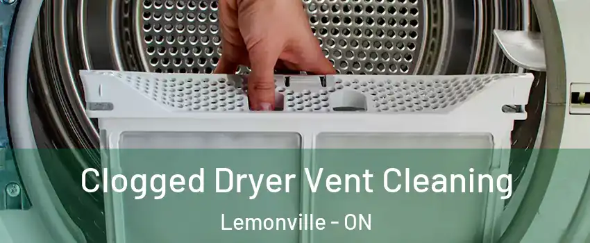  Clogged Dryer Vent Cleaning Lemonville - ON