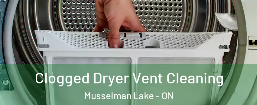  Clogged Dryer Vent Cleaning Musselman Lake - ON