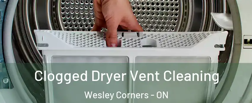  Clogged Dryer Vent Cleaning Wesley Corners - ON