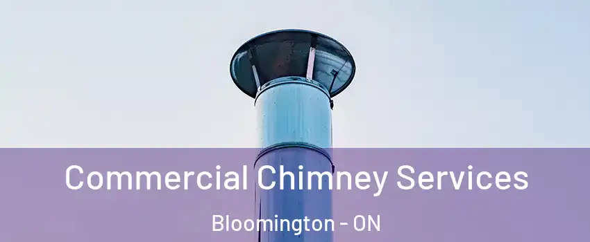  Commercial Chimney Services Bloomington - ON