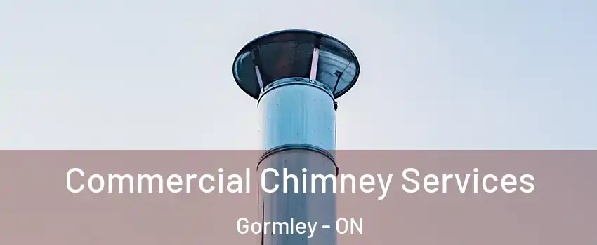  Commercial Chimney Services Gormley - ON