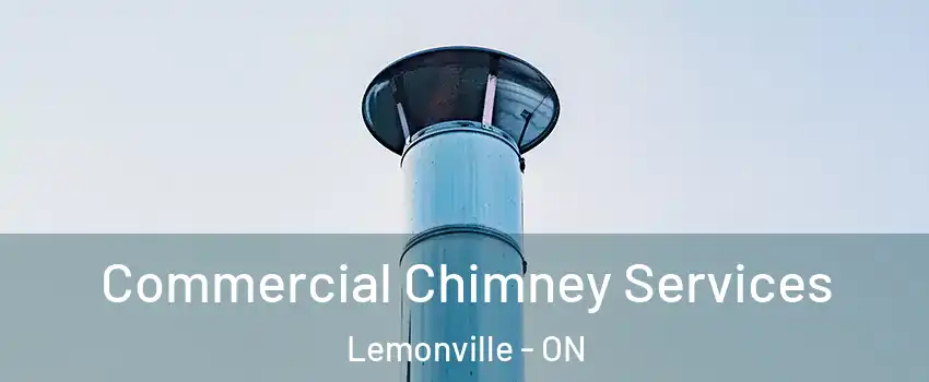  Commercial Chimney Services Lemonville - ON