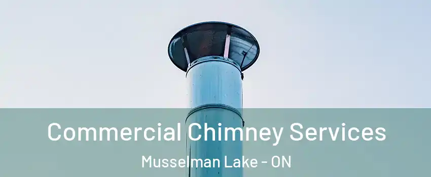  Commercial Chimney Services Musselman Lake - ON